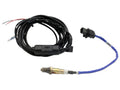 AEM30-0310.jpg