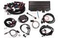 HLY550-927.jpg