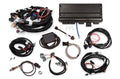 HLY550-934.jpg