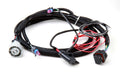 HLY558-405.jpg